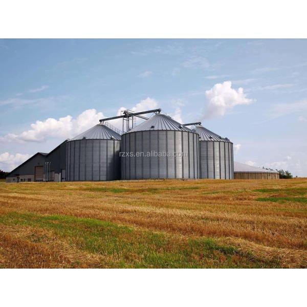 Optimum Agricultural Storage Made Easy with STR STGF80 Grain Silo 28000 KG Capacity