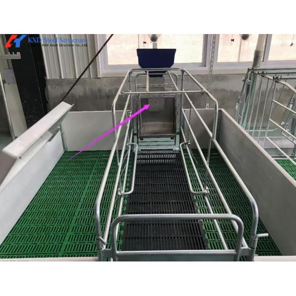 Pig Slatted Flooring Customized Piggery Plastic Flooring For Husbandry Equipment