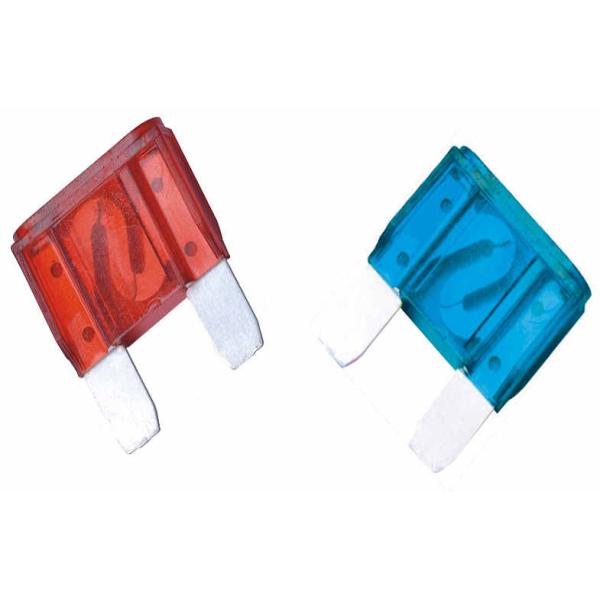 100 Amp Auto Blade Fuse