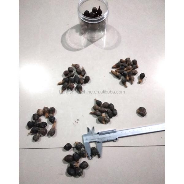 400kg/h Almond hazelnut shelling production line Almond peeling machine Almond cracker separating machine
