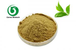 China Anti Oxidation Polyphenols 95% EGCG 45% Green Tea Extract on sale