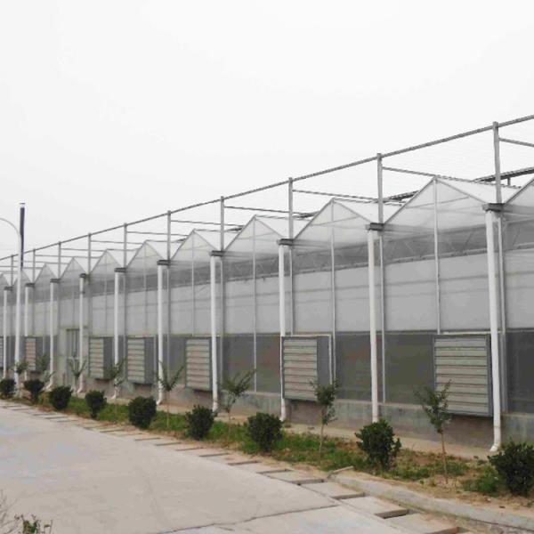 Solar Polycarbonate Sheet Greenhouse / Agricultural PC Sheet Greenhouse