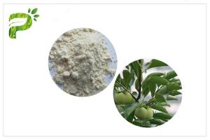 China Anti Cancer Ursolic Acid Powder , CAS 77 52 1 Persimmon Leaf Extract Dietary Supplement on sale