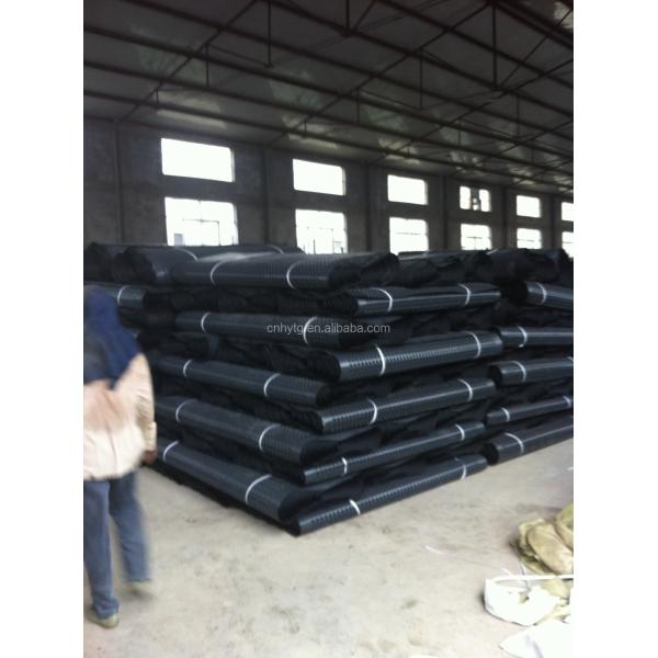 Modern Design Style Drainage HDPE Composite Drainage Board for Building and Construction