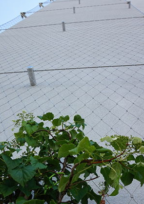 Stainless Steel Wire Rope Mesh For Cable Mesh Zoo Fence / Plant Climbing Forest Net