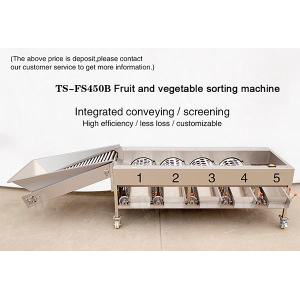 Fruit Orange Vegetable Saiko persimmon lemon tangerine passion fruit avocado cherry Mango pear mangosteen kiwi fruit processing production Inspecting