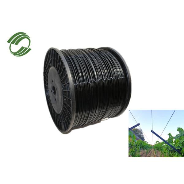 2.5mm Agriculture Polyester Wire Vinyard Supporting High Strength Monofilament
