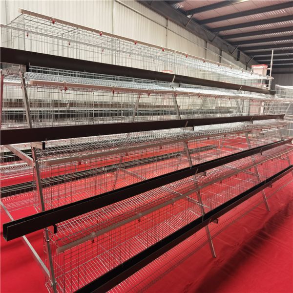 4 Tier H Type Fully Automatic Battery Layer Chicken Cage with Galvanized Steel Poultry Farming Equipment