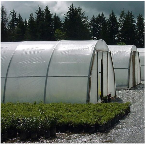 Hot-dip Galvanized Steel Greenhouse for Vegetable Farming with Customizable Span and Integrated Environmental Control