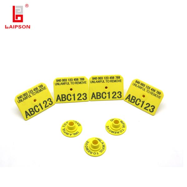 Rectangular Livestock Ear Tags 52mm 38mm Pig Hog Swine Use With Laser Marking
