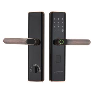 Euro Intelligent Door Lock Tuya Biometric Fingerprint Lock Black