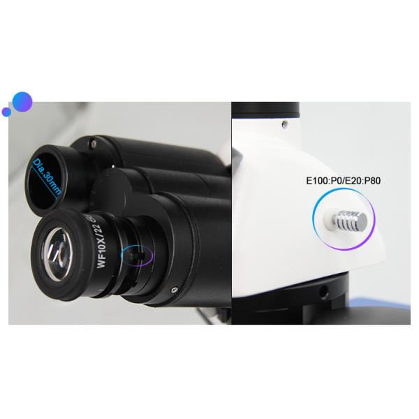 Polarizing Microscope