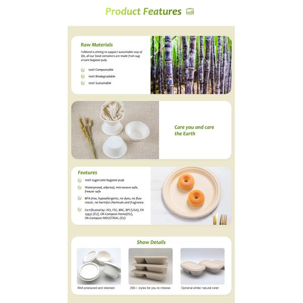 6 Inch Biodegradable Take Out Containers , White Biodegradable Clamshell Packaging