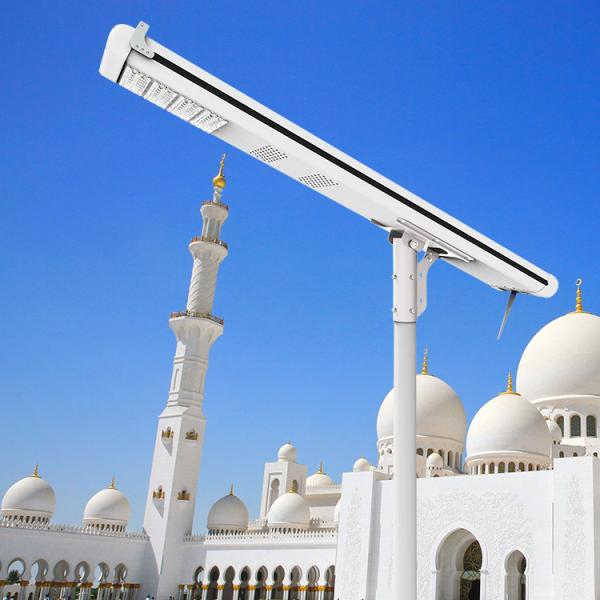 HP8000 Outdoor Solar Street Lights Integrated MPPT Controller Customized LED Lamps