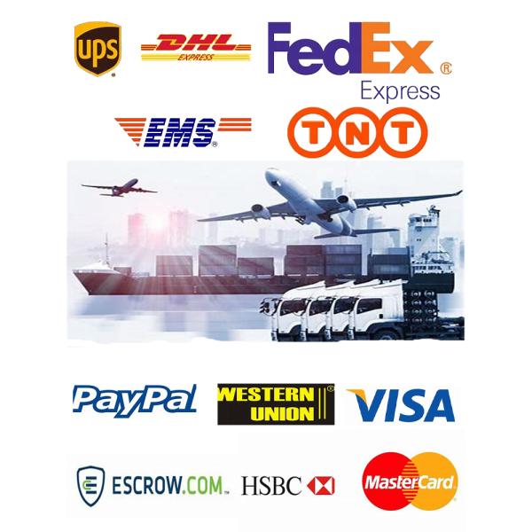 Customized Size 3mm Led Screen / Led Electronic Display Screen Vivid Image