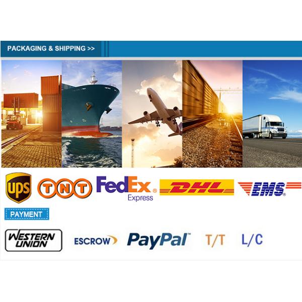 M12 Male / Female Aviation Socket 3/4/5/6/8/12/17-Core Pinhole Connector With Molded Rubber Core