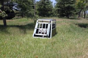 Buy cheap Aluminium Transport Dog Cage product