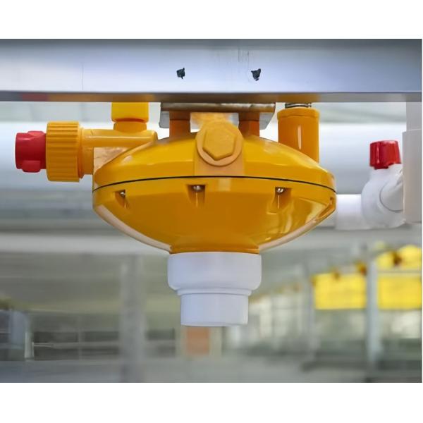 Customized Plastic Broiler Cage Equipment Automatic Poultry Breeding Equipment