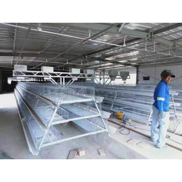 3/4 tier A Type Chicken Cage Chicken Egg Layer Cage For Poultry Farms