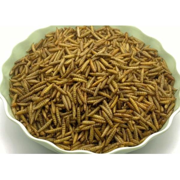 Origin Fine Powder Black Soldier Fly Powder