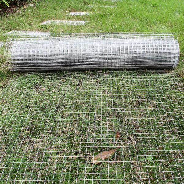 1"X1" Chicken Mesh Fence