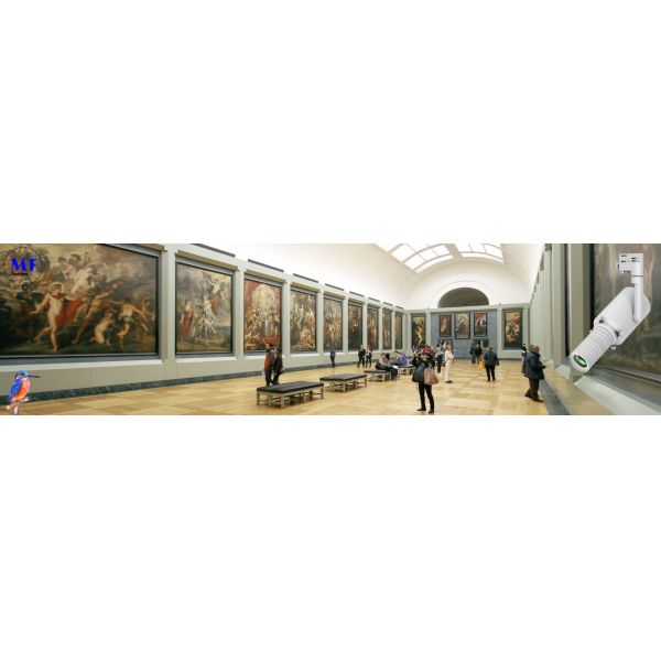 Integrated Contour Spotlight Gobo Projector Shapeable Track Light for Commercial Cultural Museum Lighting