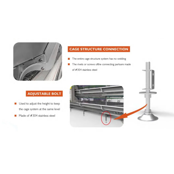 Galvanized Steel Automatic Chicken Cage with Adjustable Ventilation System for Low Maintenance Poultry Farming
