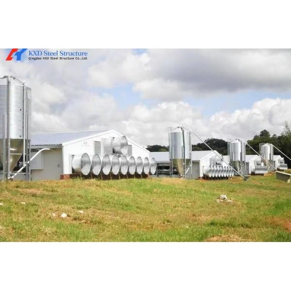 Weather Resistant Steel Chicken Coop with Fast Installation and Modular Structure for Poultry Farming