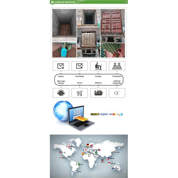 Bulk Selling 30-Hole Apple Packaging Tray Fruit Liners PP Material Tray Paper Liner Supplier