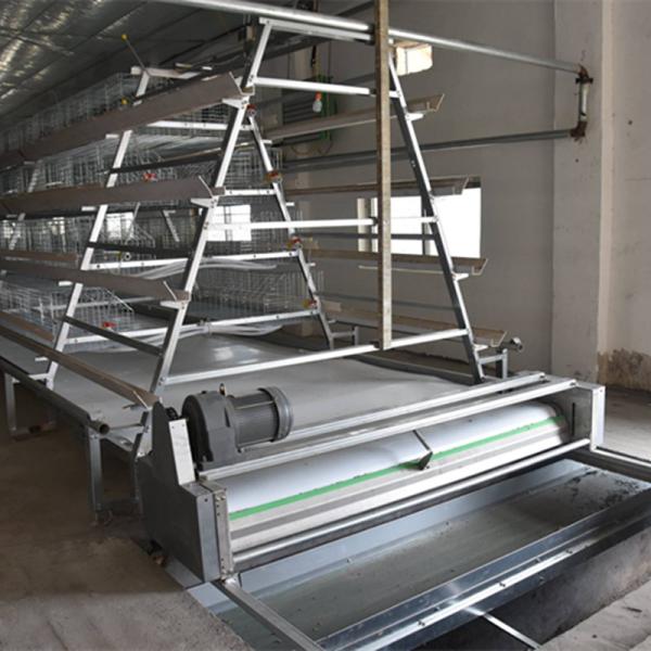 3/4 tier A Type Chicken Cage Chicken Egg Layer Cage For Poultry Farms