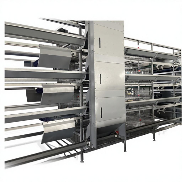 Hot-dip Galvanized Automatic Broiler Chicken Cage System with Adjustable Vents and Corrosion Resistant Design