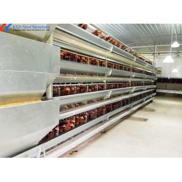 A Type Battery Layer Cage Poultry Farming Cage System With Automatic Feeding Machine