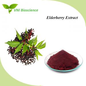 Buy cheap Violet Fruit Vegetable Powder Supplement Anti Oxidation Elderberry Extract product