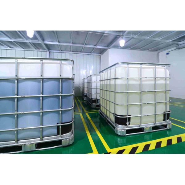 Unleash the Potential of Bakery Enzyme for Your Baking Business