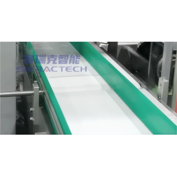 Automatic Vertical Case Erecting, Packing and Sealing Machine