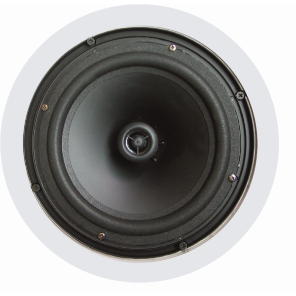 6 Inch Coaxial Speaker 30W Commercial Ceiling Speaker OEM ODM Loudspeaker