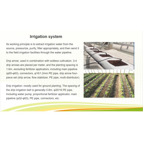 Customized Size Intelligent Greenhouse Vegetable Growing Greenhouse