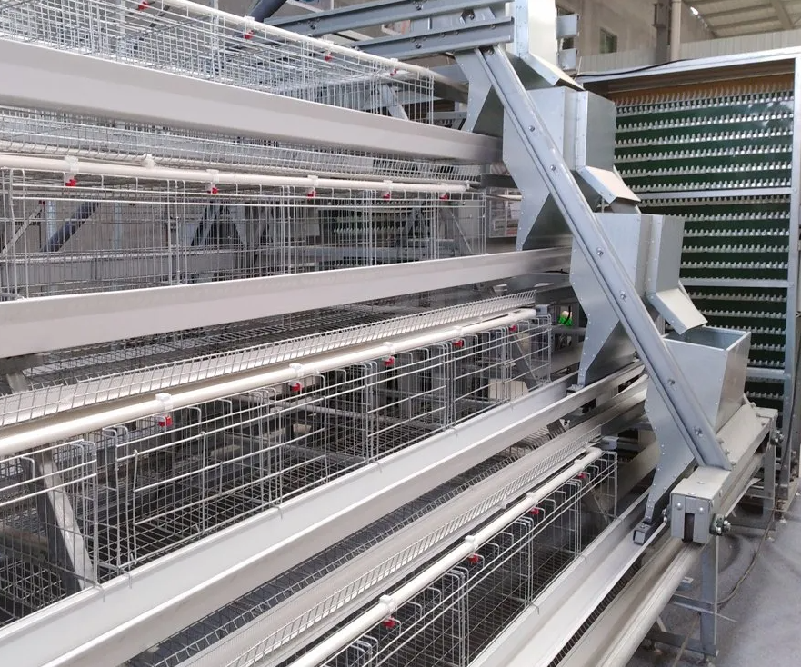 20000 Capacity Automatic H Type Battery Layer Chicken Cage with Tropical Zone Adaptation and Superior Ventilation