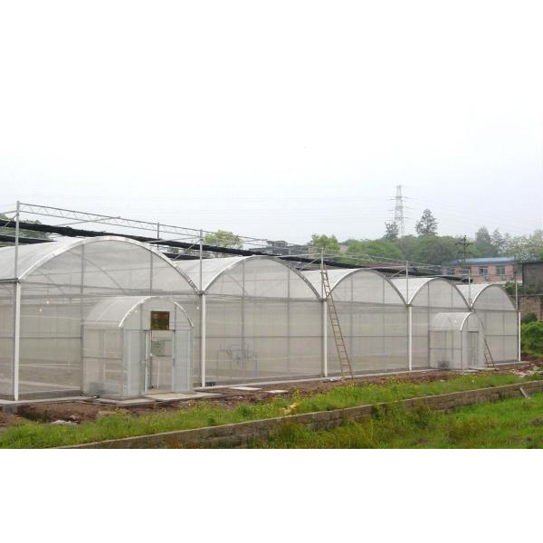 Super Strong Resistance Agriculture Multispan Greenhouse Frame for Growing Vegetables