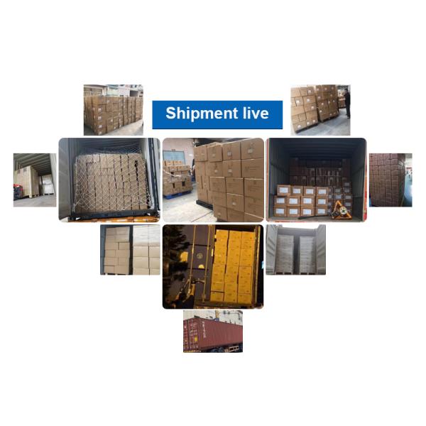 M12 Male / Female Aviation Socket 3/4/5/6/8/12/17-Core Pinhole Connector With Molded Rubber Core