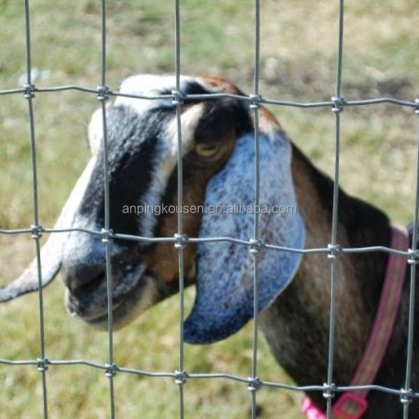 Galvanized or Hot Dipped High Tensile Fixed Knot Cattle Fence Mesh Wire Length 10-200m