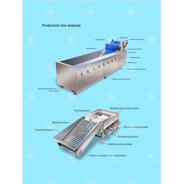 Multifunction Fruit And Vegetable Processing Line Automatic Washing And Sorting Machine