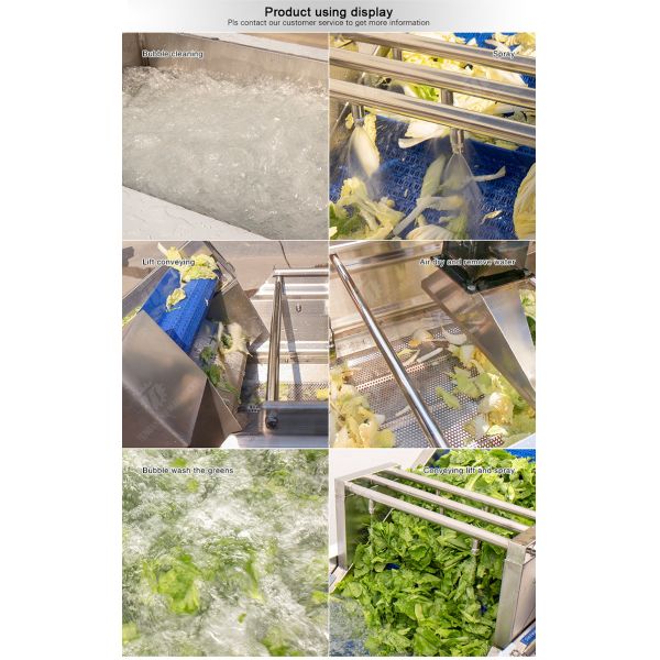 Bubble washing vibration air drying production line Orange Vegetable Herbs Fruit processing production Machine