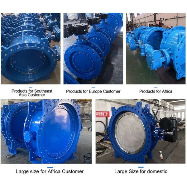 Customized Double Flanged Concentric Eccentric Butterfly Valve for Optimal Performance