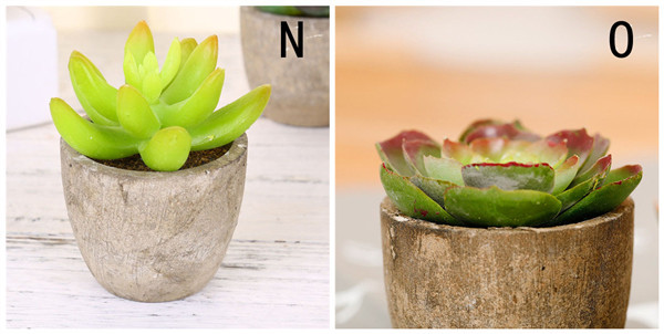Mini Succulent Artificial Potted Plants Strange Shape Green Platsic Material