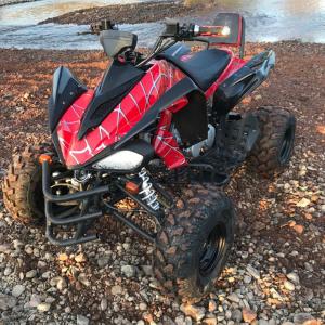 China 300kg Load Capacity Single-cylinder Air-cooled Four-stroke ATV with Hydraulic Damping on sale