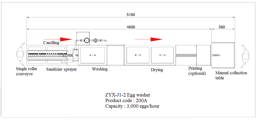 Sanitizer Sprayer Egg Washing Drying Machine With 3000 Eggs/Hour Capacity
