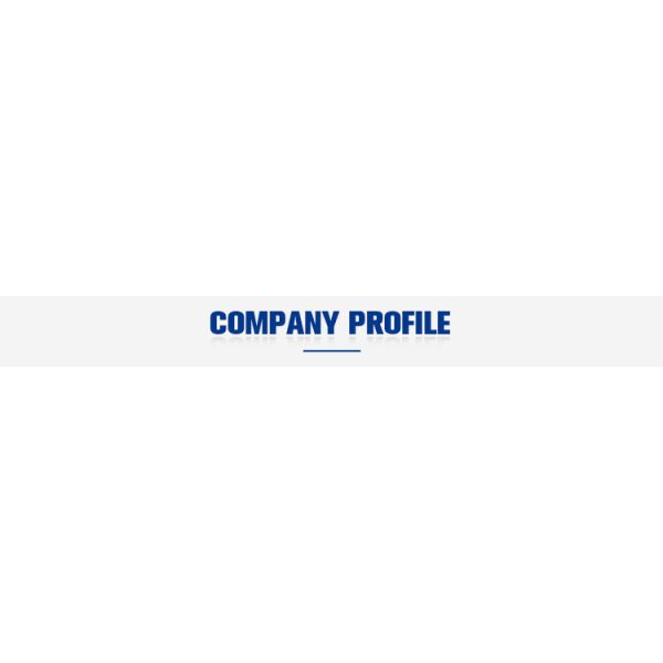 Truck Cranes Folding Arm Construction Lifters Gruas Boom Lift Rough Terrain Machine with Engine Pump Bearing Core Components