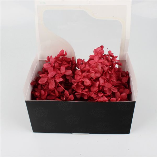 Decoration Preserved Pampas Grass , Creative Touch Flowers Gift