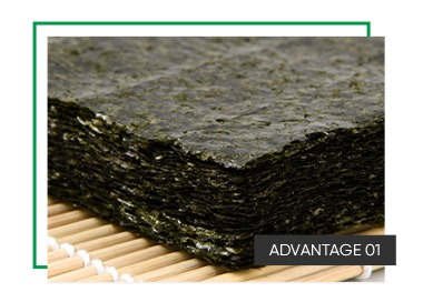 Raw Materials Collection Healthy Natural 10 50 100 Sheets Algae Zeewier Roasted Seaweed Gold Sheet Sushi Nori for Sushi